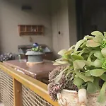 Appartement Les reflets du lac en face du lac de Loudenvielle avec jardin clos, 6 Personnes, classé 4 étoiles *