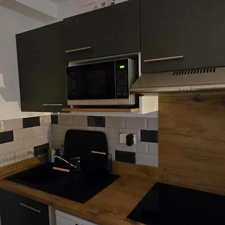 Apartamento Les Reflets Du Detente Et Nature à Genos-loudenvieille Classé 4 étoiles *