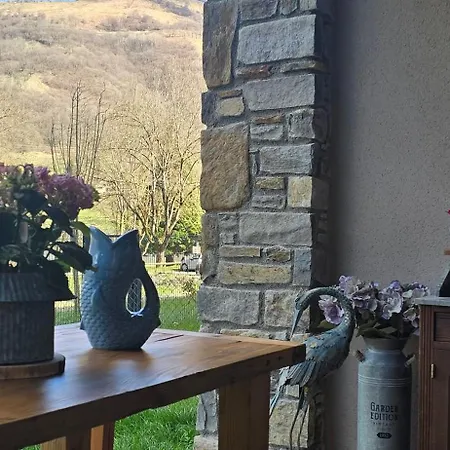 Appartement Les Reflets Du Lac T3 Vue Lac Avec Jardin Cosy Et Calme 4 Etoiles Daire