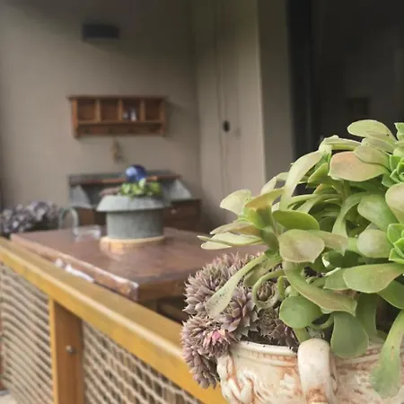 Appartement Les Reflets Du Lac T3 Vue Lac Avec Jardin Cosy Et Calme 4 Etoiles *